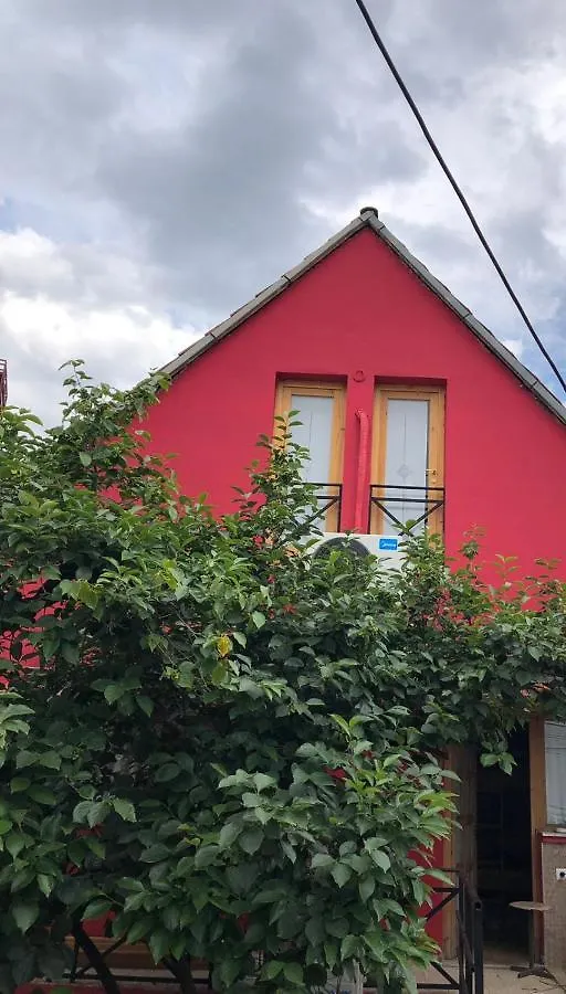 Red Goat Hostel Tirana 0*,